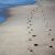 Logotipo del grupo footprints